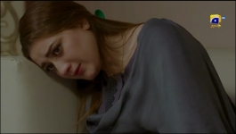 Saaya 2 - 28th May 2022